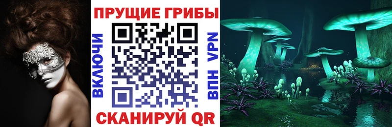Купить где  Миньяр  Галлюциногенные грибы мухоморы 